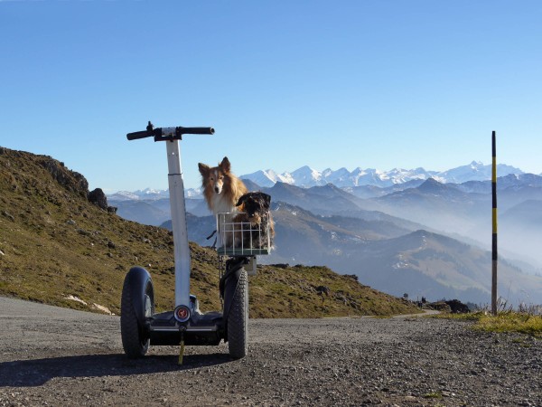 Blick von der gleichen Stelle nach S in die Hohen Tauern