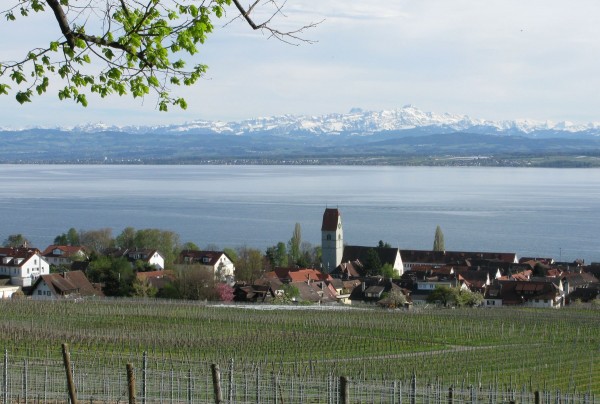 Hagnau mit Säntis