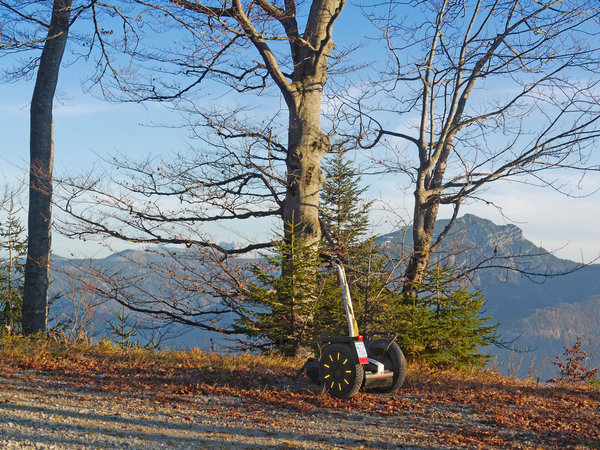 Auf ca. 1100 m im Aufstieg zur Naringalm: Blick nach S zum Unterberghorn (1773 m),<br />dem Skiberg von Kössen.