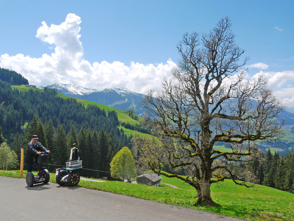 Dieser prächtige Ahorn musste einfach fotografiert werden. Im Hintergrund, knapp links<br />von der Bildmitte, der Hahnenkamm mit der berüchtigten Streifabfahrt.