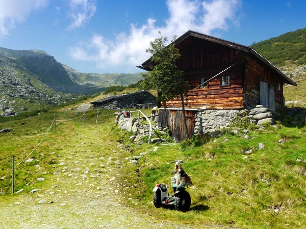 An der Gressensteinalm auf 1800 m.