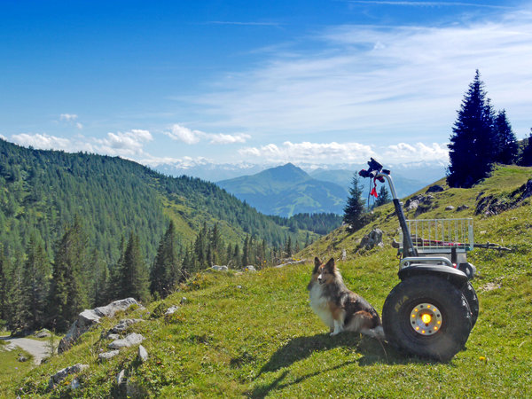 Am höchsten Punkt der Zufahrtsstrecke auf 1580 m, Blick nach S. Höchster Gipfel im<br />Hintergrund links: Grossvenediger, 3665 m; Bildmitte: Kitzbühler Horn, 1996 m.